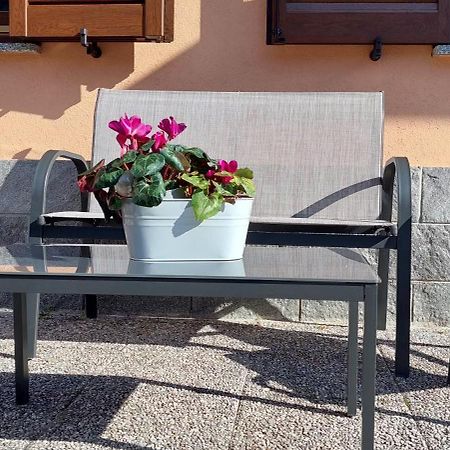 Casa Alberto - Appartamento Zona Bellagio Magreglio Eksteriør billede